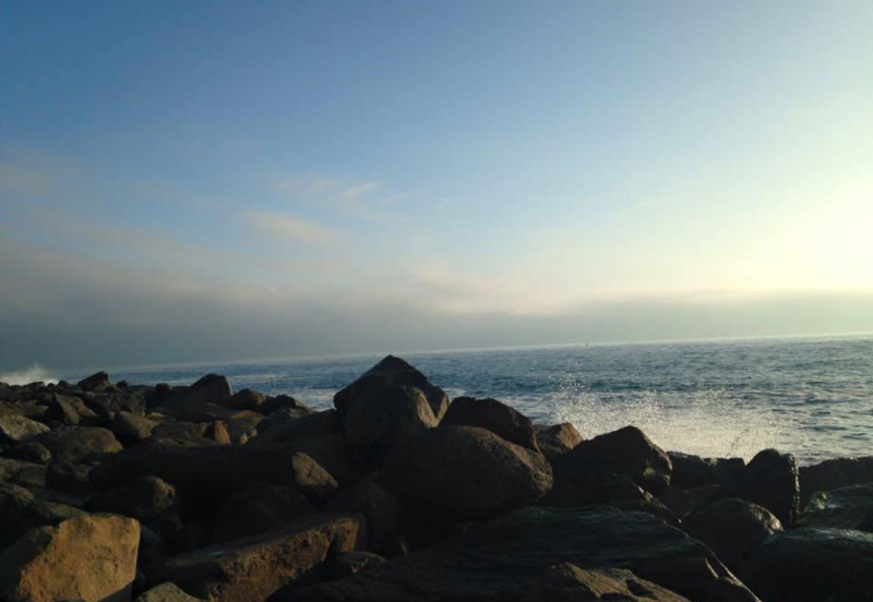 Rocks along the beach