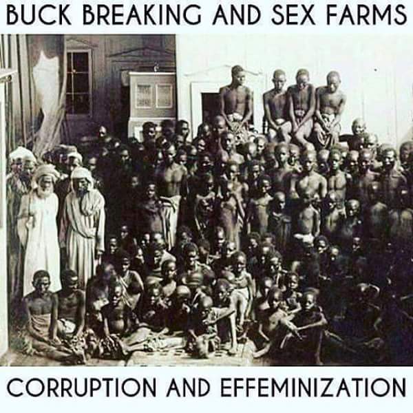 BLACK MALE SLAVE RAPE
